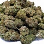LIT Farms has quickly emerged as one of the most trusted names in the THCA flower industry, setting new standards for quality, transparency, and innovation. Known for its “California Quality” approach, the brand focuses on small-batch cultivation, meticulous testing, and expert genetics to deliver flower that’s both potent and clean. By blending advanced growing techniques with a deep respect for cannabis craftsmanship, LIT Farms provides users with a premium experience that feels consistent, authentic, and elevated. This commitment to excellence positions the company at the forefront of modern THCA cultivation, where purity and performance meet innovation.