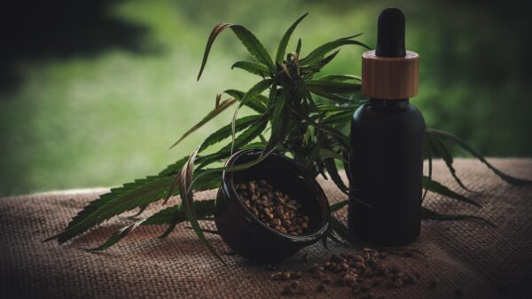 Wellness continues to evolve as people search for natural, reliable ways to feel better in their daily lives. In this shift toward gentler and more intentional self care, BinoidCBD has become a standout name offering hemp derived products designed to support comfort, balance, and calm. The brand positions itself at the intersection of science, transparency, and modern wellness, making plant based relief more accessible to people who want practical solutions without complexity.